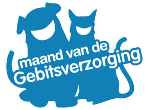 Aandacht voor het gebit van katten