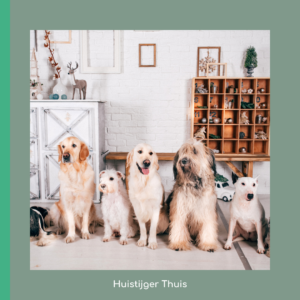 Honden tijdens stage besluit houders van dieren