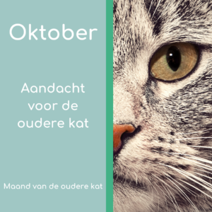 Maand van de oudere kat