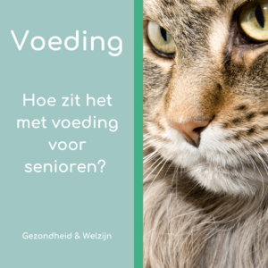 Maand van de oudere kat - voeding