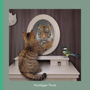 Blog make-over dromen