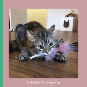 Jachtverrijking, prooi gevangen