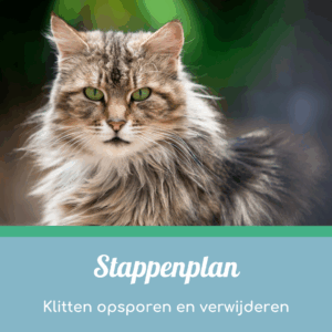 Stappenplan klitten opsporen en verwijderen